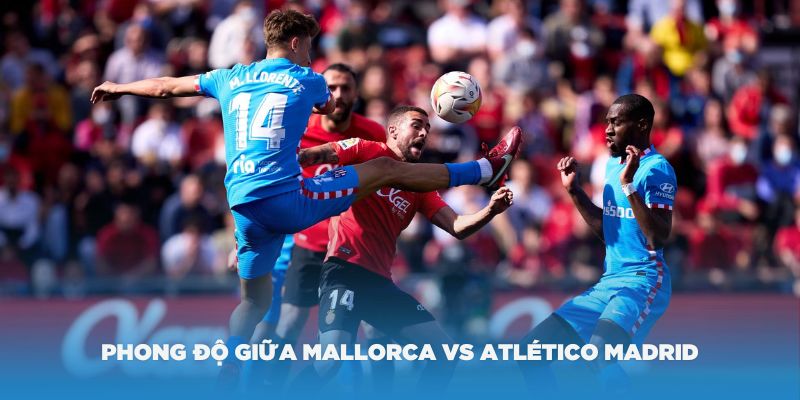 Phân tích phong độ giữa hai đội Mallorca vs Atlético Madrid